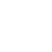 versión principal (negativo)